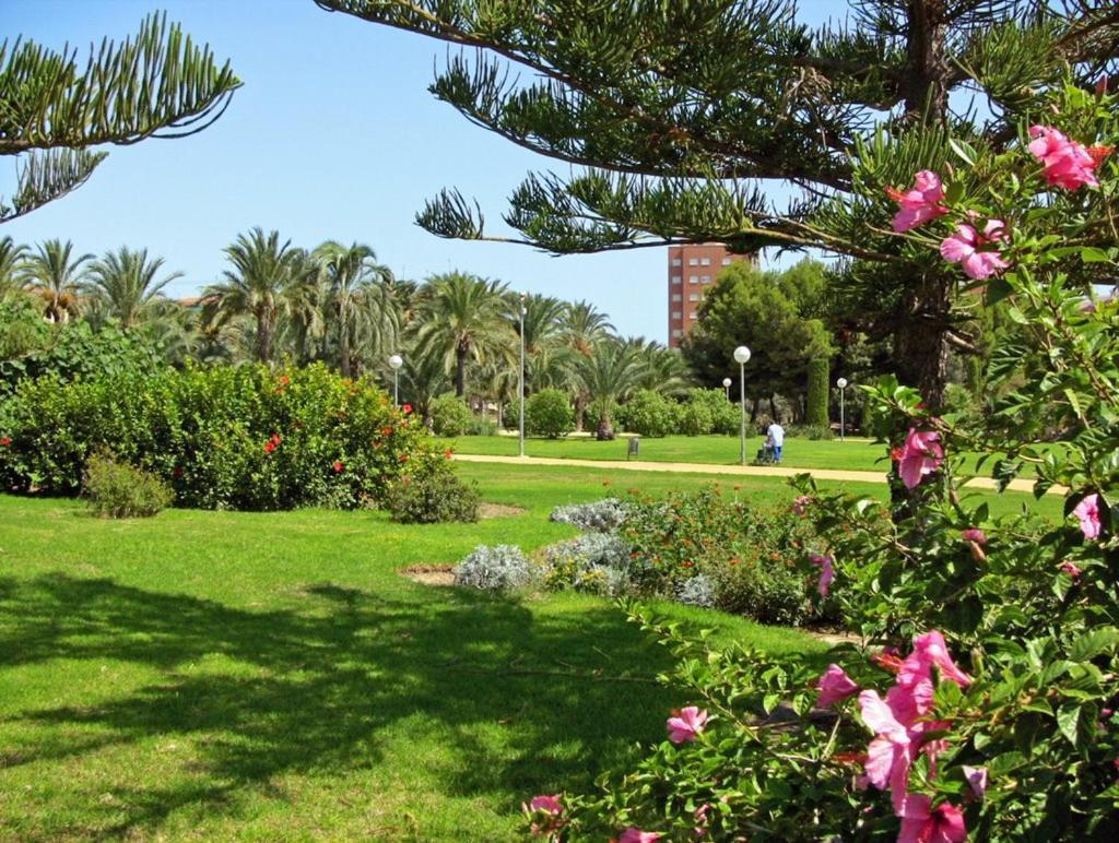 30-3- Бюджетная Комната В Квартире Для 2 Человека, Alicante Apartment Ngoại thất bức ảnh